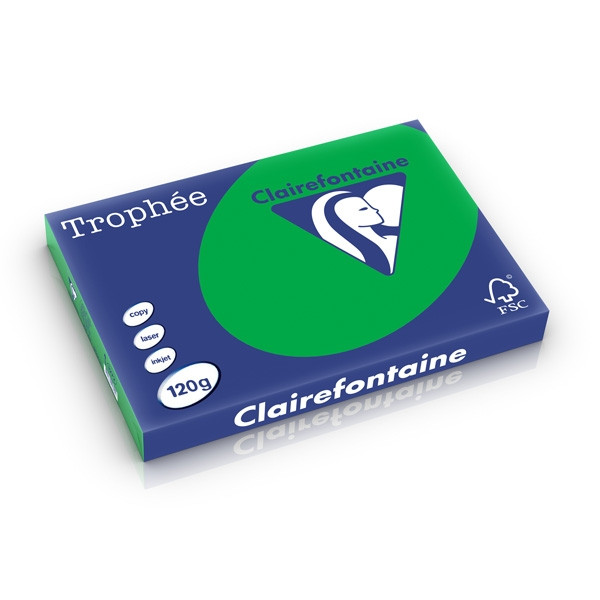 Clairefontaine gekleurd papier biljartgroen 120 g/m² A3 (250 vellen) 1272C 250230 - 1