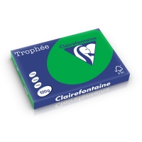 Clairefontaine gekleurd papier biljartgroen 120 g/m² A3 (250 vellen) 1272C 250230