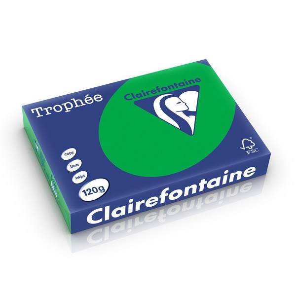 Clairefontaine gekleurd papier biljartgroen 120 g/m² A4 (250 vellen) 1271C 250212 - 1