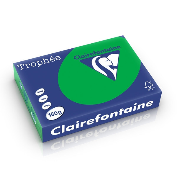 Clairefontaine gekleurd papier biljartgroen 160 g/m² A4 (250 vellen) 1007C 250265 - 1