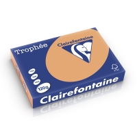 Clairefontaine gekleurd papier caramel 120 g/m² A4 (250 vellen) 1244C 250196