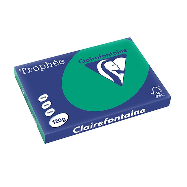 Clairefontaine gekleurd papier dennengroen 120 g/m² A3 (250 vellen) 1384C 250142 - 1