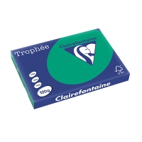 Clairefontaine gekleurd papier dennengroen 120 g/m² A3 (250 vellen) 1384C 250142