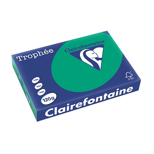 Clairefontaine gekleurd papier dennengroen 120 g/m² A4 (250 vellen) 1224C 250086 - 1