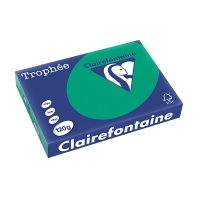 Clairefontaine gekleurd papier dennengroen 120 g/m² A4 (250 vellen) 1224C 250086