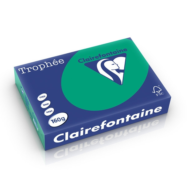 Clairefontaine gekleurd papier dennengroen 160 g/m² A4 (250 vellen) 1019C 250266 - 1