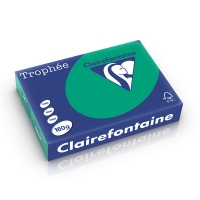 Clairefontaine gekleurd papier dennengroen 160 g/m² A4 (250 vellen) 1019C 250266