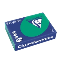 Clairefontaine gekleurd papier dennengroen 210 grams A4 (250 vel) 2213C 250105
