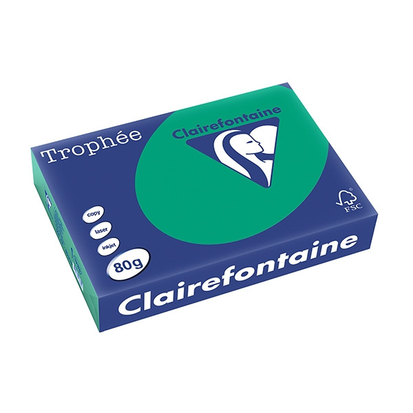 Clairefontaine gekleurd papier dennengroen 80 g/m² A4 (500 vellen) 1783C 250062 - 1