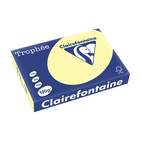 Clairefontaine gekleurd papier geel 120 g/m² A4 (250 vellen) 1248C 250074 - 1
