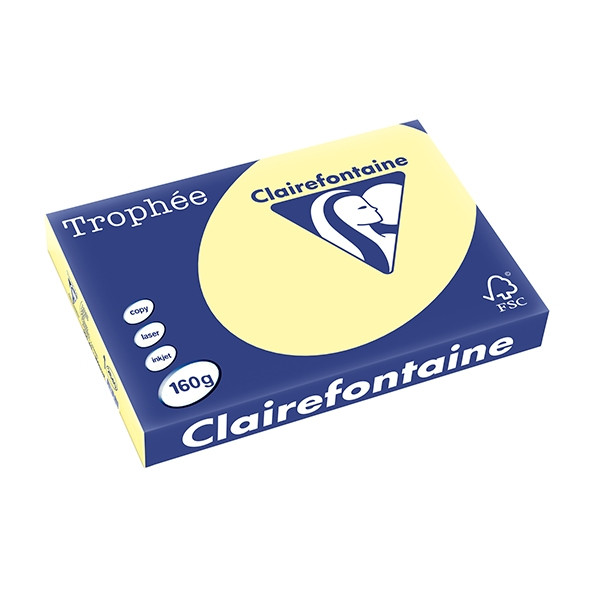 Clairefontaine gekleurd papier geel 160 g/m² A3 (250 vellen) 2640C 250147 - 1