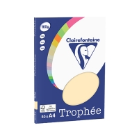 Clairefontaine gekleurd papier gems 160 g/m² A4 (50 vellen) 4156C 250065