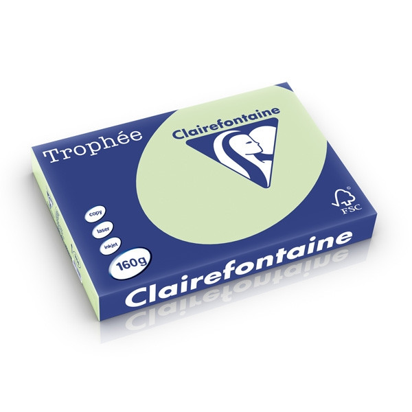 Clairefontaine gekleurd papier golfgroen 160 g/m² A3 (250 vellen) 1114C 250280 - 1