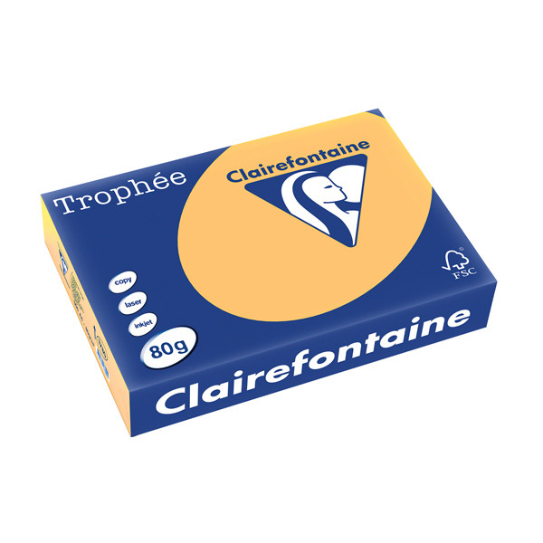 Clairefontaine gekleurd papier goudgeel 80 g/m² A4 (500 vellen) 1780C 250165 - 1