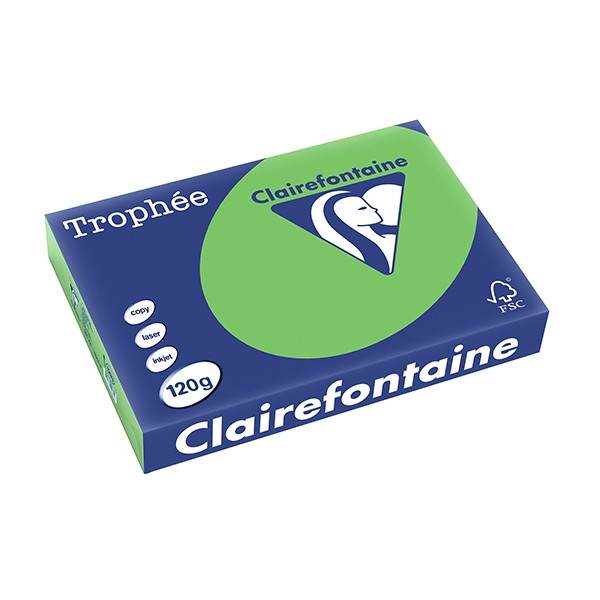 Clairefontaine gekleurd papier grasgroen 120 g/m² A4 (250 vellen) 1293C 250085 - 1