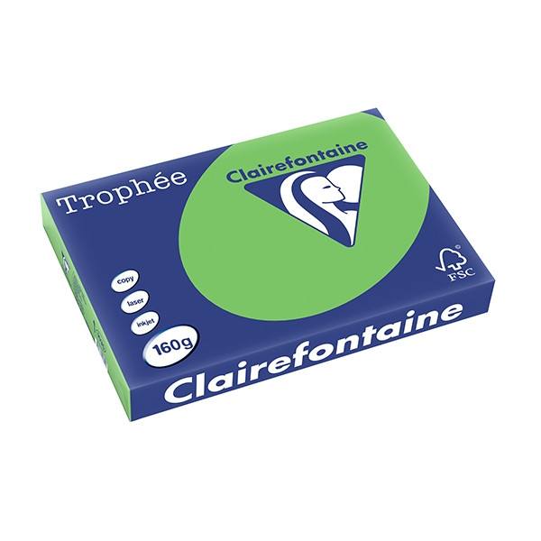 Clairefontaine gekleurd papier grasgroen 160 g/m² A3 (250 vellen) 1035C 250159 - 1