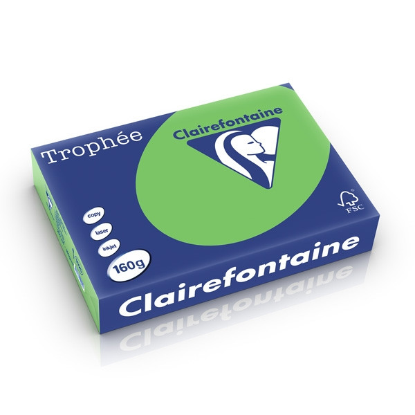 Clairefontaine gekleurd papier grasgroen 160 g/m² A4 (250 vellen) 1025C 250264 - 1