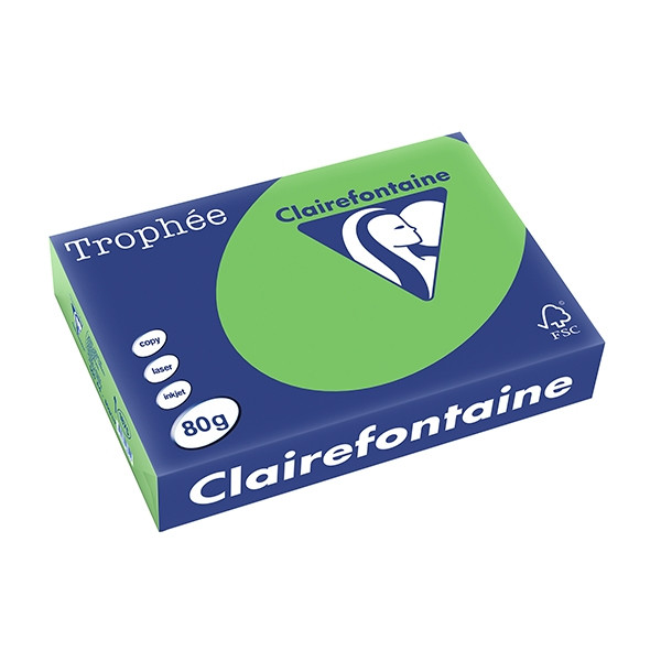 Clairefontaine gekleurd papier grasgroen 80 g/m² A4 (500 vellen) 1875C 250061 - 1