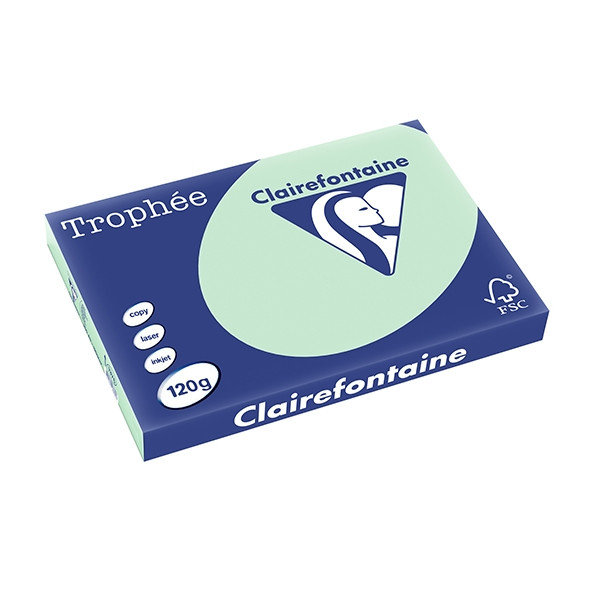 Clairefontaine gekleurd papier groen 120 g/m² A3 (250 vellen) 1376C 250133 - 1