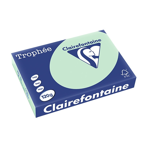 Clairefontaine gekleurd papier groen 120 g/m² A4 (250 vellen) 1216C 250078 - 1