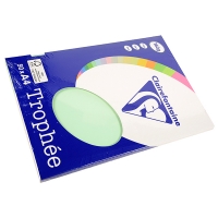 Clairefontaine gekleurd papier groen 160 g/m² A4 (50 vellen) 4155 250020