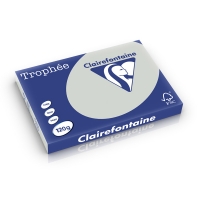 Clairefontaine gekleurd papier lichtgrijs 120 g/m² A3 (250 vellen) 1274C 250213