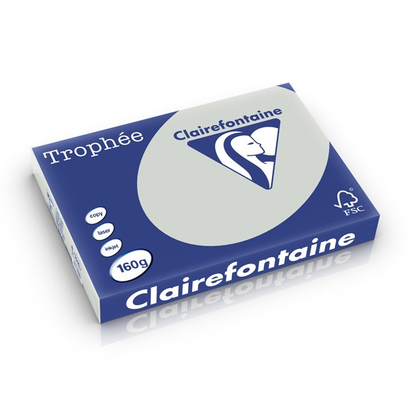 Clairefontaine gekleurd papier lichtgrijs 160 g/m² A3 (250 vellen) 1010C 250268 - 1
