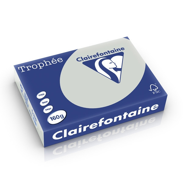 Clairefontaine gekleurd papier lichtgrijs 160 g/m² A4 (250 vellen) 1009C 250232 - 1