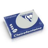 Clairefontaine gekleurd papier lichtgrijs 160 g/m² A4 (250 vellen) 1009C 250232