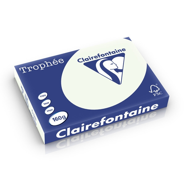 Clairefontaine gekleurd papier lichtgroen 160 g/m² A3 (250 vellen) 1143C 250281 - 1