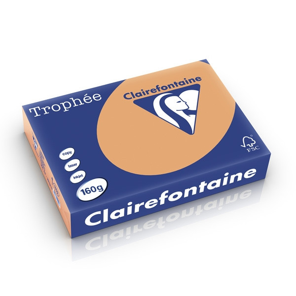 Clairefontaine gekleurd papier mokkabruin 160 g/m² A4 (250 vellen) 1102C 250235 - 1