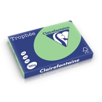 Clairefontaine gekleurd papier natuurgroen 120 g/m² A3 (250 vellen) 1328C 250224