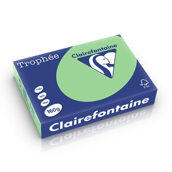 Clairefontaine gekleurd papier natuurgroen 160 g/m² A4 (250 vellen) 1120C 250250 - 1
