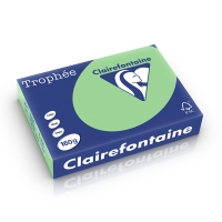 Clairefontaine gekleurd papier natuurgroen 160 g/m² A4 (250 vellen) 1120C 250250