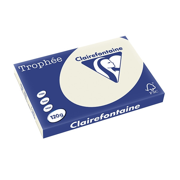 Clairefontaine gekleurd papier parelgrijs 120 g/m² A3 (250 vellen) 1301C 250125 - 1