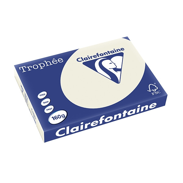 Clairefontaine gekleurd papier parelgrijs 160 g/m² A3 (250 vellen) 1065C 250143 - 1