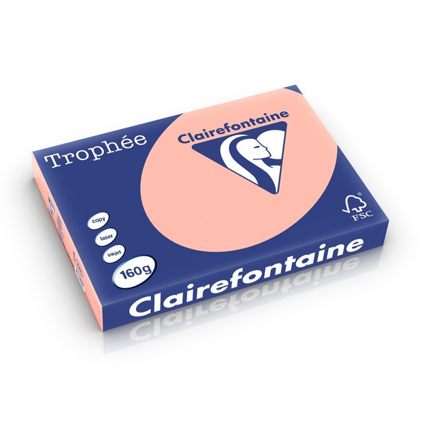 Clairefontaine gekleurd papier perzik 160 g/m² A3 (250 vellen) 1141C 250271 - 1
