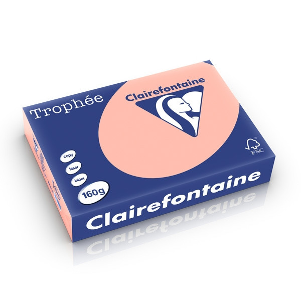 Clairefontaine gekleurd papier perzik 160 g/m² A4 (250 vellen) 1049C 250238 - 1