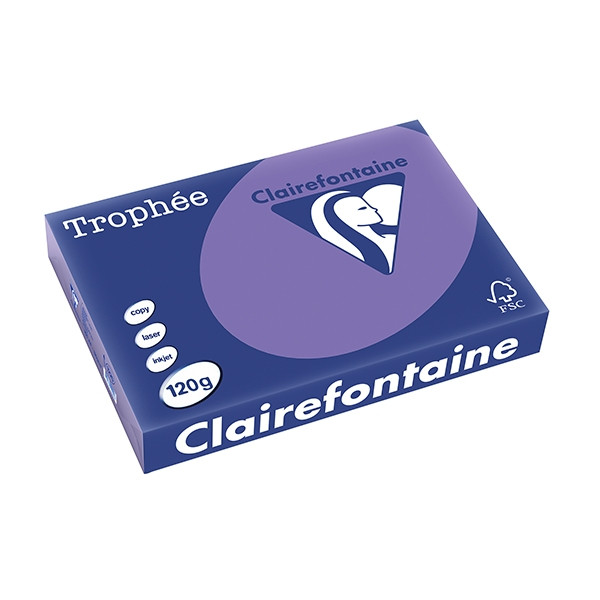 Clairefontaine gekleurd papier violet 120 g/m² A4 (250 vellen) 1220C 250082 - 1