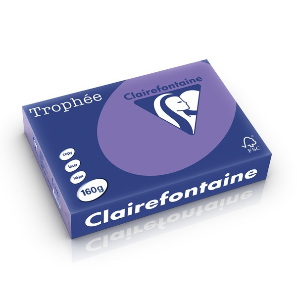 Clairefontaine gekleurd papier violet 160 g/m² A4 (250 vellen) 1018C 250259 - 1