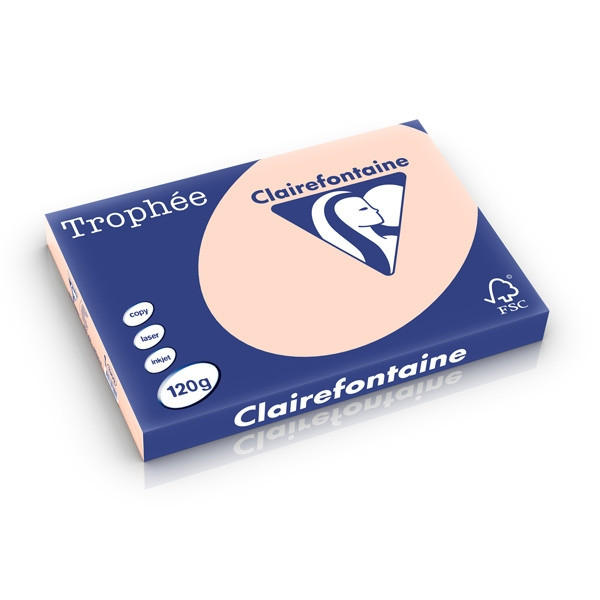 Clairefontaine gekleurd papier zalm 120 g/m² A3 (250 vellen) 1309C 250219 - 1