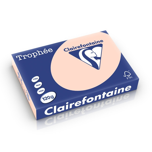 Clairefontaine gekleurd papier zalm 120 g/m² A4 (250 vellen) 1209C 250201 - 1