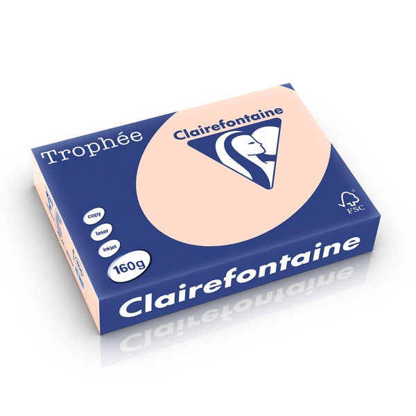 Clairefontaine gekleurd papier zalm 160 g/m² A4 (250 vellen) 1104C 250242 - 1