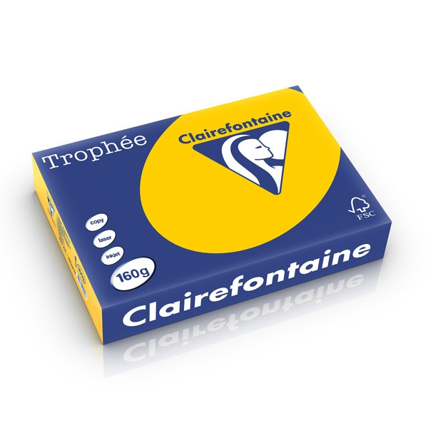 Clairefontaine gekleurd papier zonnebloemgeel 160 g/m² A4 (250 vellen) 1053C 250263 - 1