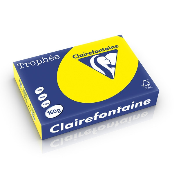 Clairefontaine gekleurd papier zonnegeel 160 g/m² A4 (250 vellen) 1029C 250262 - 1