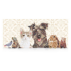 Crystal Art diamond painting kaart Animal Family 11x 22cm