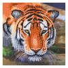 Crystal Art diamond painting kaart Tiger 18 x 18 cm
