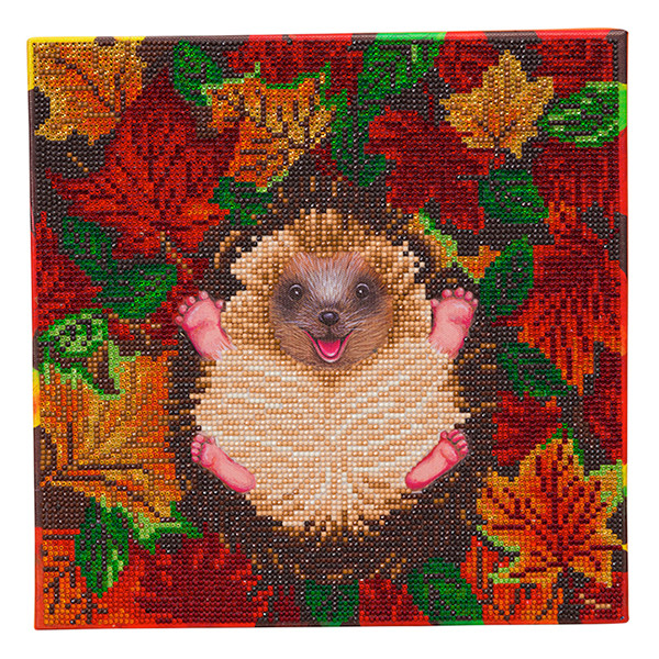 Crystal Art diamond painting kit Autumn Hedgehog 30 x 30 cm CAK-A146M 400946 - 1