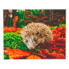 Crystal Art diamond painting kit Hedgehog 40 x 50 cm 400966 - 1