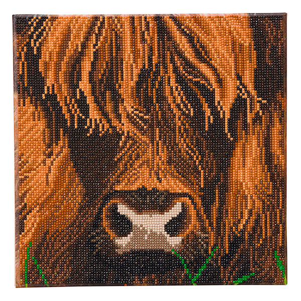 Crystal Art diamond painting kit Highland Cow 30 x 30 cm CAK-A165M 400949 - 1